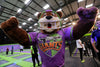 Trampoline Jump Session at Jump Giants Newcastle
