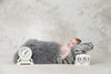 New Born Baby Photo Shoot